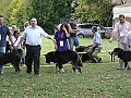 img 101